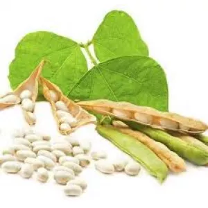 Насіння квасолі Неві Бінс, Червона довга, Пінто, Червона Шапочка.Опт