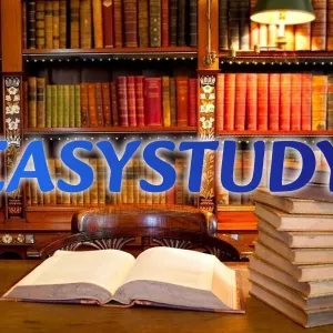 Замовити підвищення унікальності тексту магістерської роботи в Україні