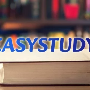 Замовити літературний огляд до магістерської роботи в Україні