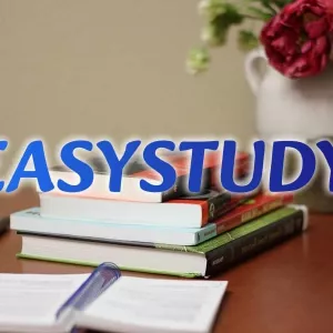 Замовити пояснювальну записку до магістерської роботи в Україні