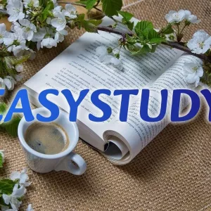 Замовити реферат магістерської роботи в Україні