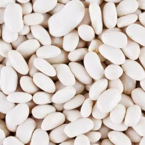 Продаж високоякісної квасолі відбірних сортів