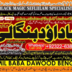 Arthorized No1 | Online Love Vashikaran Specialist | Kala Jadu Expert | Specialist In USA | Kala Jadu Expert | Specialist In UAE itlay