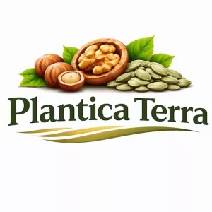 Стабільний постачальник волоського горіха та фундука Plantica Terra