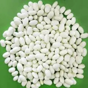 Насіння, посівмат квасолі сортів Неві Бінс, Червона довга, Пінто, Червона Шапочка.