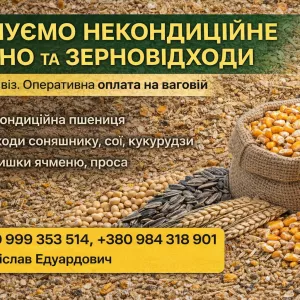 Купуємо некондиційне зерно та відходи сільгоспкультур
