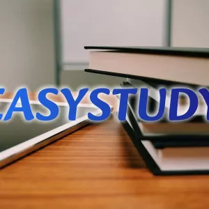 Замовити розробку стартапу до магістерської роботи в Україні