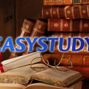 Замовити практичну частину бакалаврської роботи в Україні