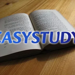 Замовити параграф бакалаврської роботи в Україні