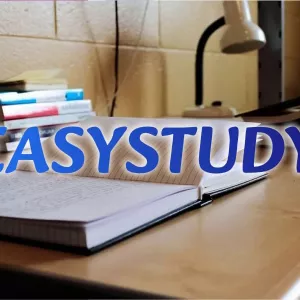 Замовити анотацію до бакалаврської роботи в Україні