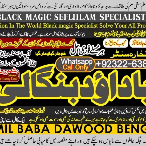 Astrologer No1 | Amil Baba In Bahawalpur, Sargodha, Sialkot, Sheikhupura, Rahim Yar Khan, Jhang, Dera Ghazi Khan & Gujrat