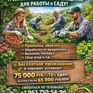 Требуются мужчины и женщины для работы в саду