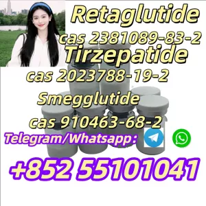 Tirzepatide CAS 2023788 - 19 - 2 High purity