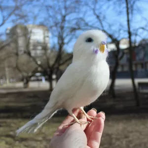 Білий попугай іграшка валяна з шерсті інтерєрна ручної роботи папуга войлочний птица подарок сувенір