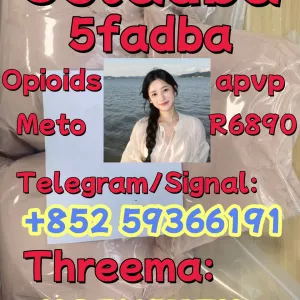 Strongest 5cladba Raw Material 5CL-ADB Precursor