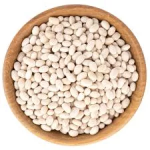 Куплю квасолю великий, дрібний опт.