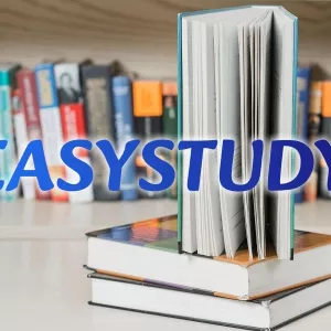 Замовити висновок бакалаврської роботи в Україні