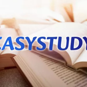 Замовити огляд літератури до бакалаврської роботи в Україні