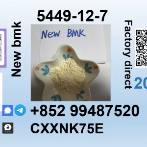 New BMK glycidic acid 5449-12-7