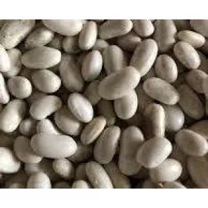 Насіння квасолі Неві Бінс, Червона довга, Пінто, Червона Шап