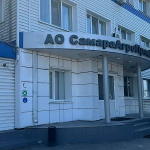 Высококачественное подсолнечное масло оптом от производителя