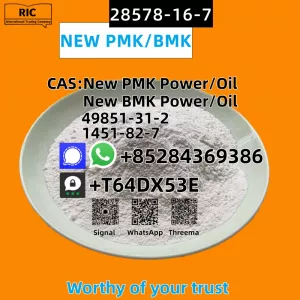 Ethyl Glycidate 28578-16-7 New P.MK Power