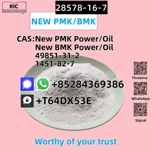 High Quality CAS 28578-16-7/52190-28-0 New P.MK Ethyl Glycidate