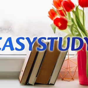 Замовити відгук наукового керівника на бакалаврську роботу в Україні