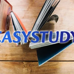 Замовити бакалаврську роботу з програмування в Україні