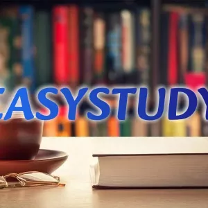 Замовити розробку стартапу до бакалаврської роботи в Україні