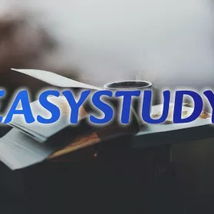 Замовити розробку стартап-проєкту до бакалаврської роботи в Україні