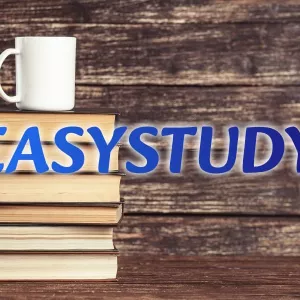 Замовити розділ ВКР в Україні