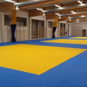 Ткань ПВХ для Татами 650гр - оптом и в розницу