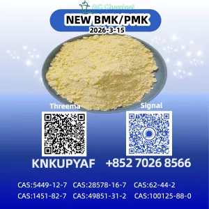 New P.M.K Oil G.lycidate C.as 28578-16-7 Premium Quality 5449-12-7 Chemical Raw Material