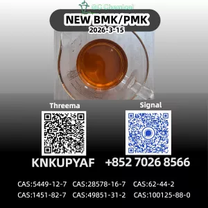 BMK Powder Oil Cas 5449-12-7 at Best Price 28578-16-7