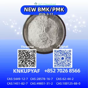 New B.M.K 5449-12-7 And 28578-16-7 New P.M.K