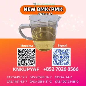New P.M.K 28578-16-7 And 1451-82-7 And B.M.K 5449-12-7