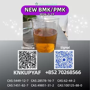 High Purity P.M.K Oil CAS 28578-16-7 for Direct Manufacturer