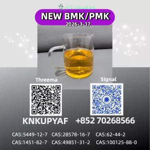 High Purity B.M.K Powder CAS 5449-12-7 for Direct Manufacturer