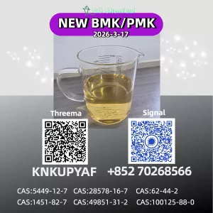 P M K Glycidate Powder | CAS 28578-16-7 | Factory Direct Supply