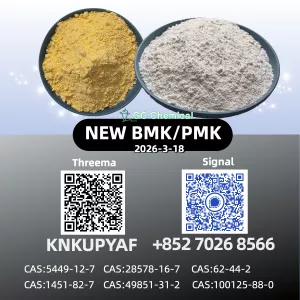 In Stock 28578-16-7 BMK Powder/Oil CAS 5449-12-7