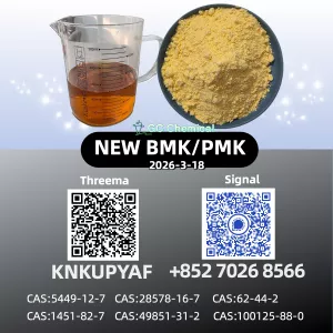 28578-16-7 CAS 5449-12-7 BMK Powder Factory Supply