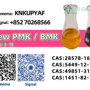 New P.M.K Oil CAS 28578-16-7 Direct Manufacturer 5449-12-7 Chemical Raw Material