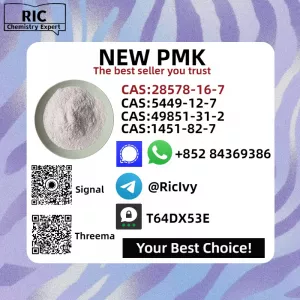 High Quality CAS 28578-16-7 P.MK Powder/Oil