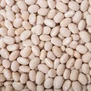 Насіння квасолі. Доставка. Форвардні контракти