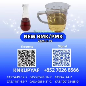 28578-16-7 Manufacturer Price P.MK B.MK Powder/Oil CAS 5449-12-7