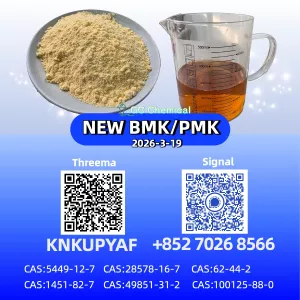 28578-16-7 Global Shipping Available CAS 5449-12-7 B.MK P.MK Powder