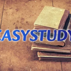 Замовити параграф ВКР в Україні