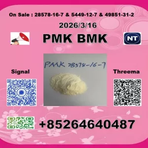 PMK 28578-16-7 1369021-80-6 & BMK 5449-12-7 trusted supplier