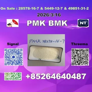 Factory supply 28578-16-7 P.MK 1369021-80-6 & B.MK 5449-12-7 BULK SUPPLY